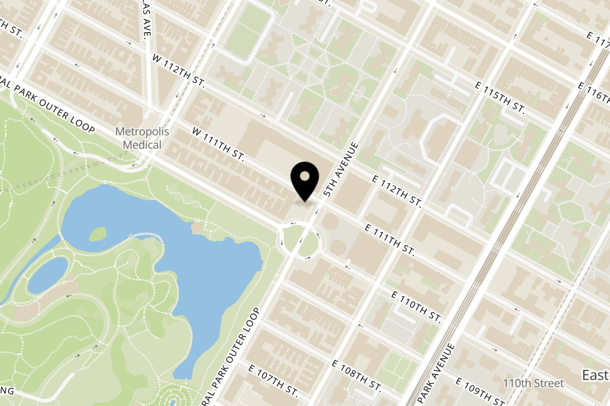Map showing the location of Chicken Spot new york on 1316 5th Ave in New York